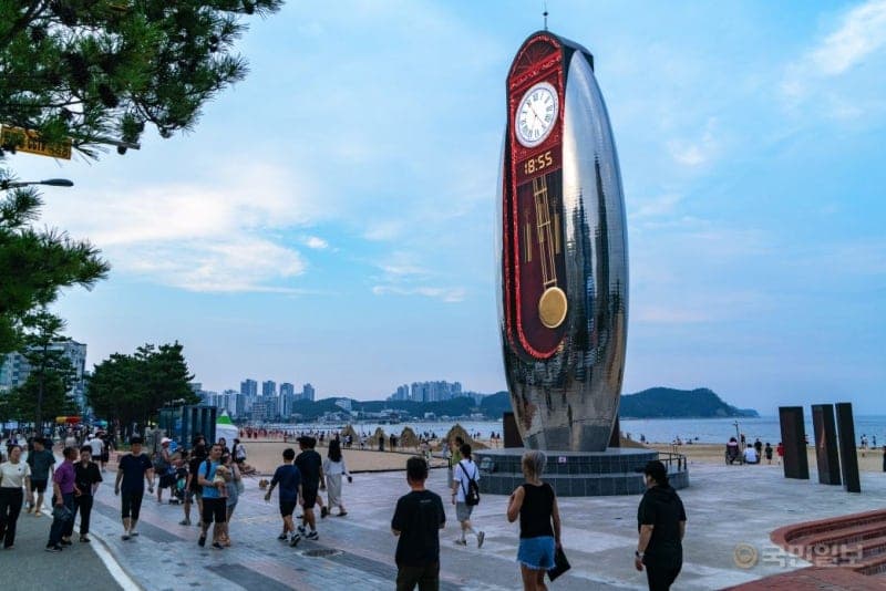 “기차 타고 포항 여행 한 번에”…코레일서 시티투어 동시 예약