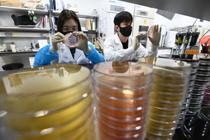 집단식중독 3년간 하루 1건씩 발생…정부, AI로 원인 추정 나선다