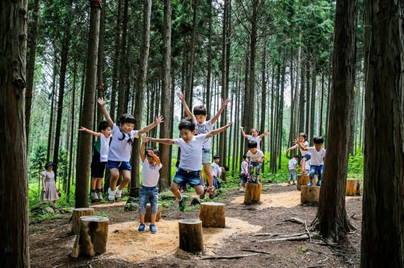 장흥군, 120억 투입 '치유관광 중심지' 도약 기반 마련