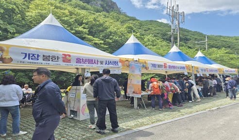“달콤한 꿀맛 보러 장안사로 오세요”… 기장군, 제13회 봉한꿀 홍보행사 개최