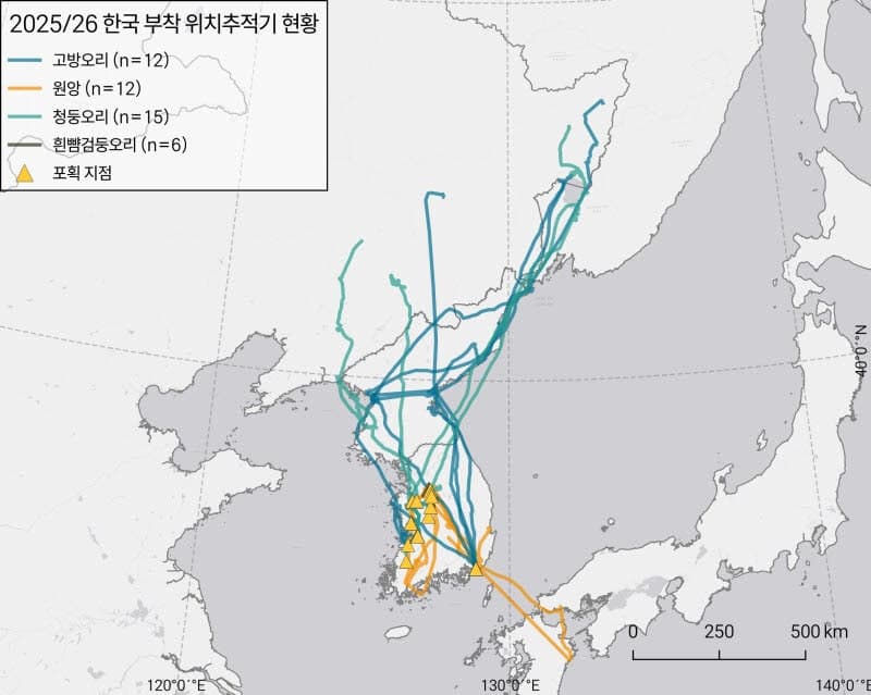 철새 이동·변이 증가에 야생조류 AI 1.5배↑…기후부, 고위험지역 예찰 강화