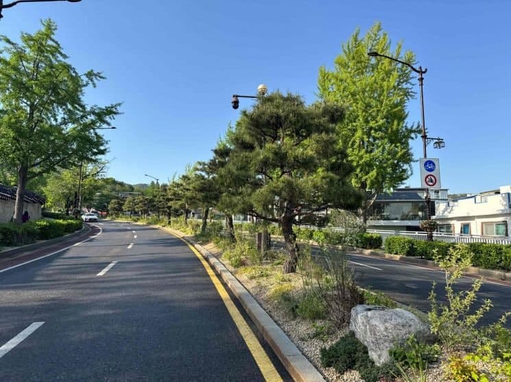 “경복궁 따라 4.3km 정원길” 종로구, 청와대까지 도심 녹지축 완성