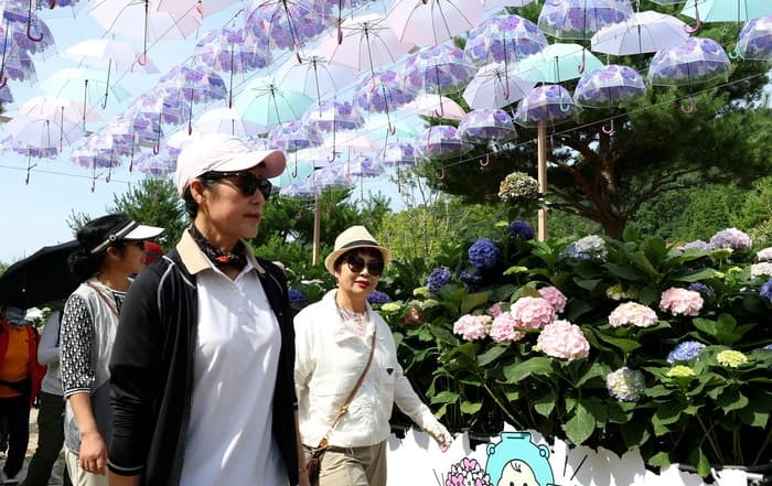 강진군, 60억 확보 '반값여행' 전국 확산…“여행비 절반 돌려드려요”