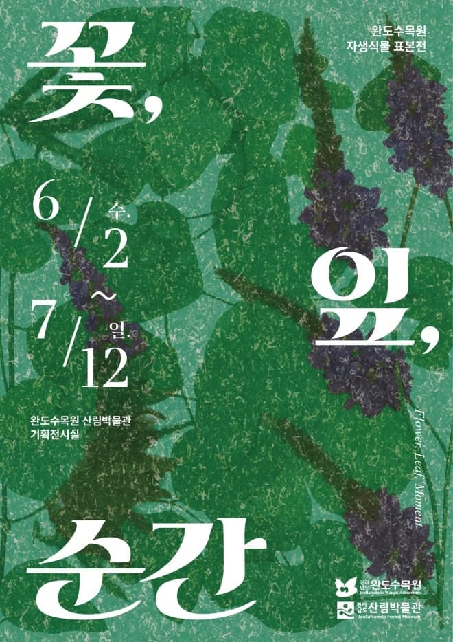 완도수목원, "꽃은 져도 순간은 남는다" 지역 자생식물 특별전 '꽃, 잎, 순간' 개최