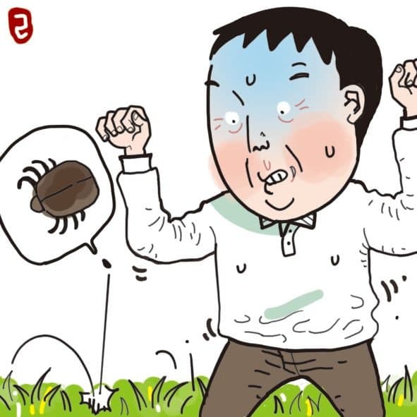 제주, 올해 첫 SFTS 환자 2명 발생 "의심 증상 땐 즉시 진료"