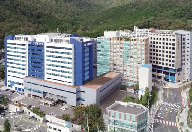 복지부, 전공의 다양한 임상경험 지원 '협력수련 네트워크' 15곳 선정
