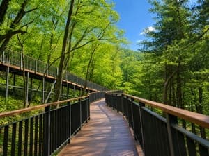 금천구, 호암산에 사계절 느끼는 데크길·전망대 정식 개통…“계절변화 느껴보세요”