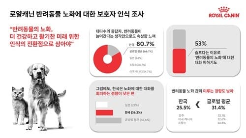 "반려동물 늙어가는 것 슬퍼"…한국인 보호자 10명 중 8명 '우울감', 미·일보다 높아
