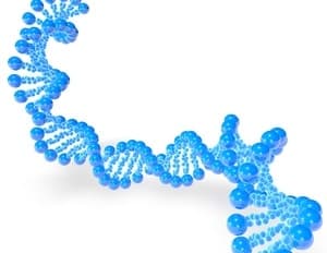 AI는 테크 거물들에게 '영생'을 가져다 줄 수 있을까? 돈으로 죽음을 정복하려는 실리콘 밸리 억만장자들의 열망