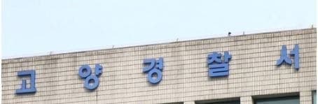 유명 유튜버 스토킹한 40대 여성 체포…집 찾아가 "띵동"