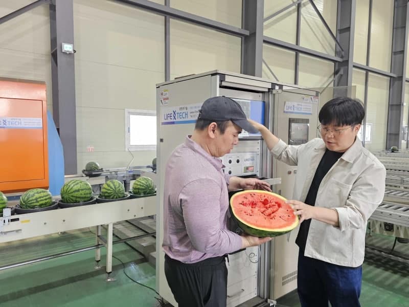 쿠팡, AI 선별 시스템으로 과일 품질 높여 새벽배송 강화