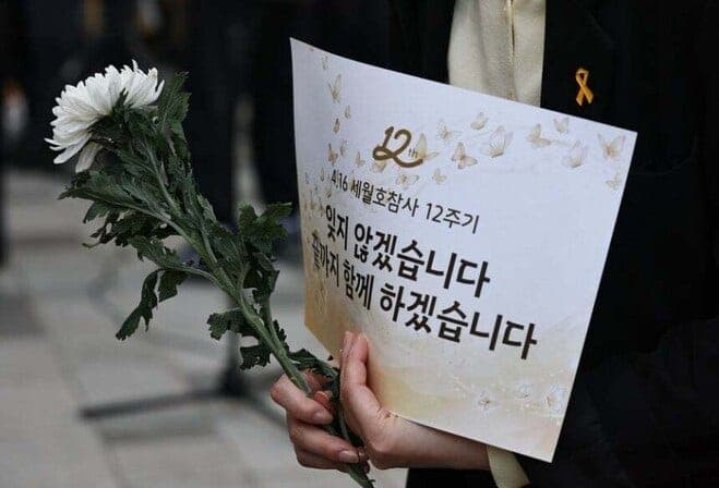 “참사는 조작됐다” 세월호·이태원·여객기 참사 허위글 3천건 올린 50대 남성 구속