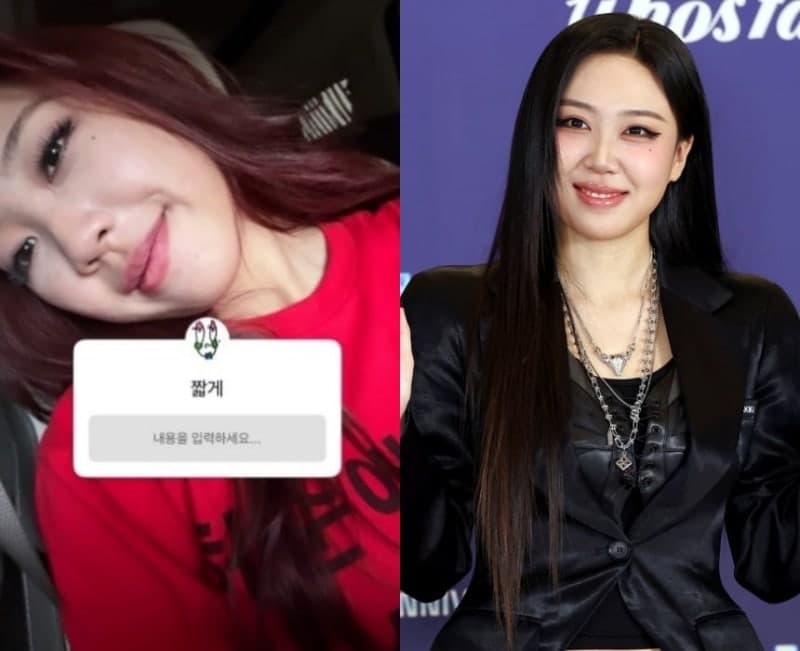 이영지, 사전투표 기간 '빨간 머리·옷' 사진 논란에 "경솔한 행동 죄송"