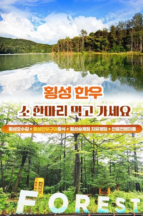 횡성군, 한우·관광 연계 '소 한 마리 먹고 가세요' 프로그램 본격 운영