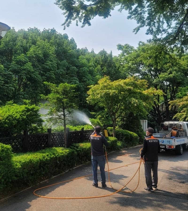 마포구, "여름철 생활불쾌곤충" 방역 총력…선제적 방역체계 가동