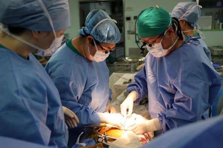 서울아산병원, 국내 첫 '신장이식 8000례' 달성…말기 신부전 환자에 '새 삶' 선물