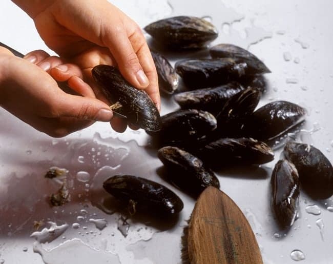 창원·부산 연안 '패류 독소' 기준치 초과…채취 금지 재발령