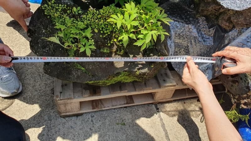 "육지에 팔려고…" 제주 자연석 57점 몰래 반출하려던 60대 적발