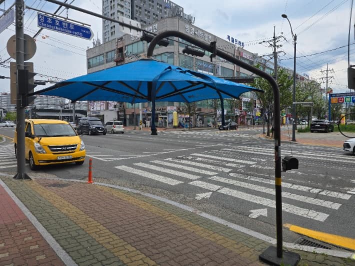 속초시, 예년보다 빠른 무더위 선제적 대응…"여름철 시민 건강·안전 지킨다"