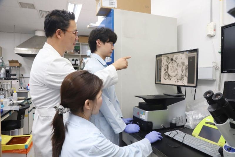 대장암 '항암제 내성' 극복 새 치료전략 제시…약효 되살릴 돌파구 열려