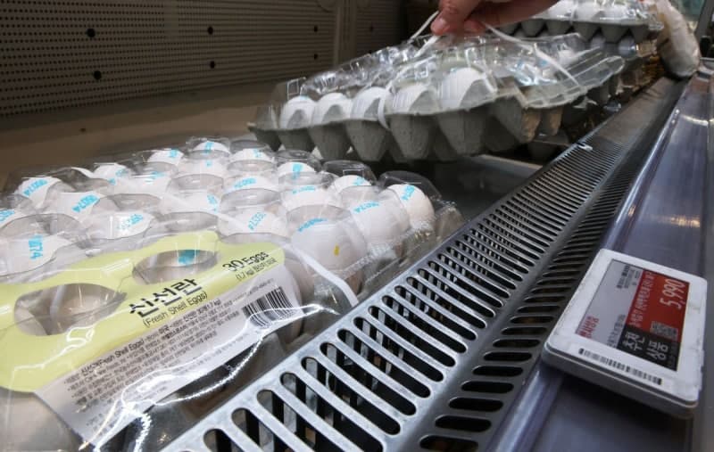 계란값 상승세 지속에 대형마트, 할인 계란 '1인 1판' 구매 제한