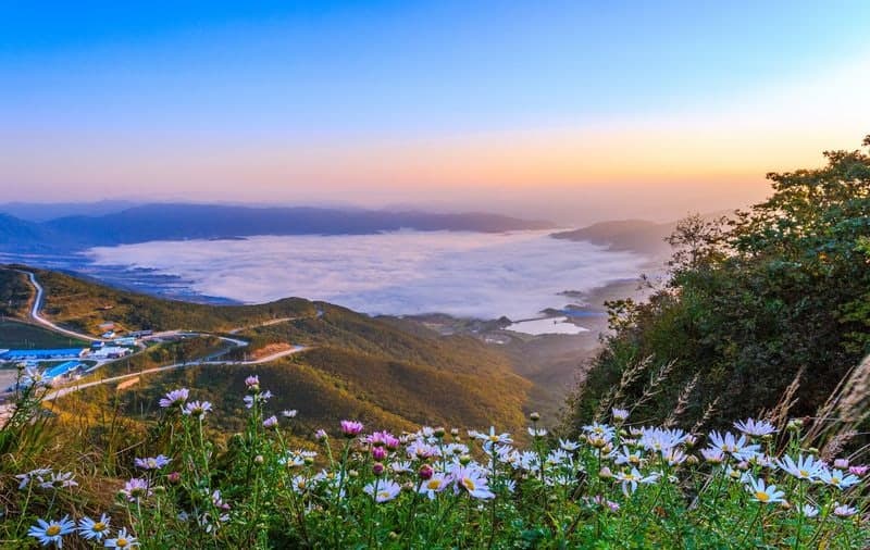 감자꽃 필 무렵, DMZ 숲길을 걷다... "국가숲길 체험하세요" 산림청, 산촌 경제 활성화 시동