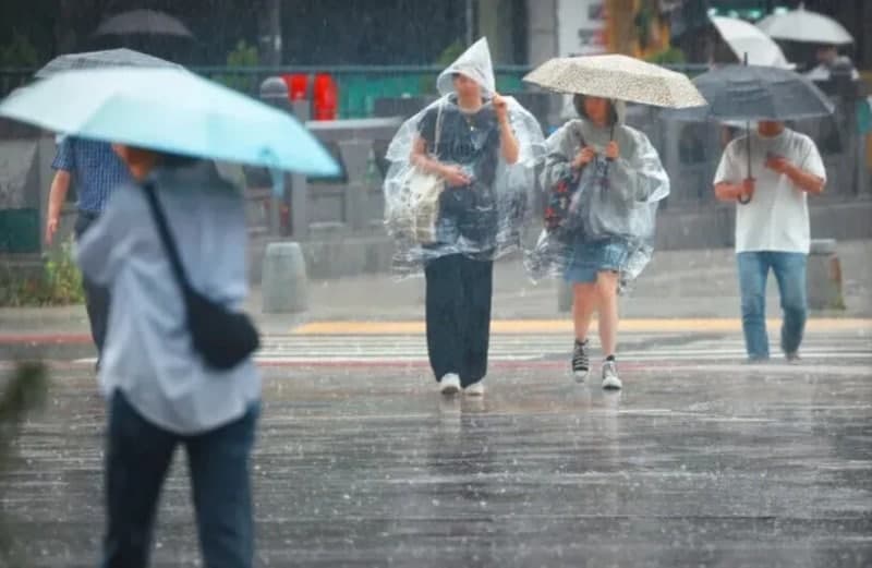 "비 안 내려도 장마철"…기상학계, '장마' 용어 재정립 및 오호츠크해 고기압 배제