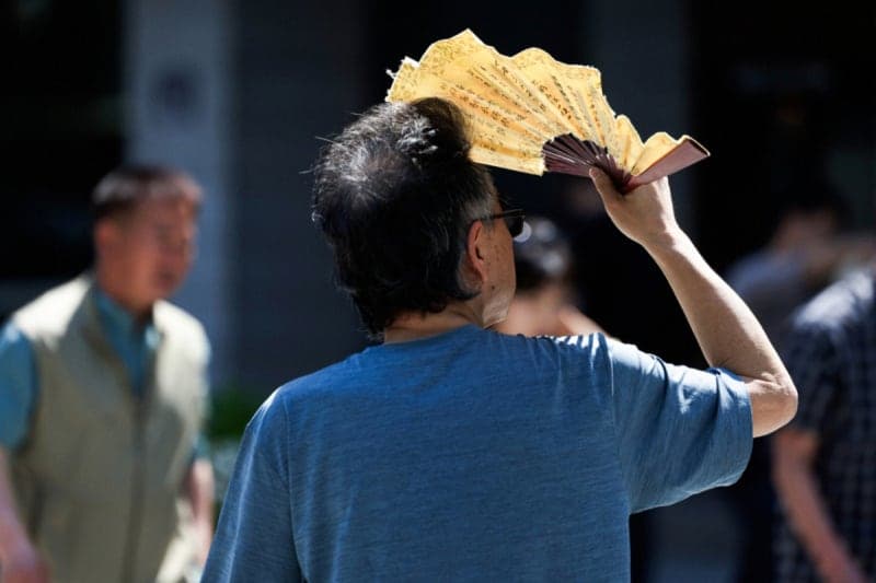 일요일 낮 최고 29도 안팎 '초여름'…오전부터 남부·제주 비, 밤에는 중부 확대