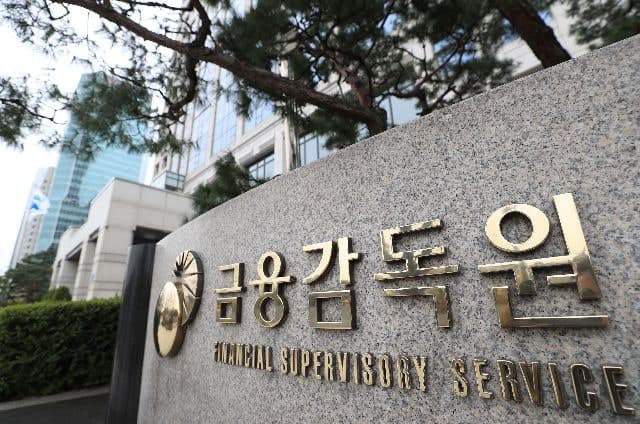금감원, 대부업 현장점검 돌입 "약탈적 금융행위 일벌백계"