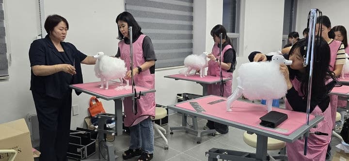 "반려동물 산업 중심지 도약" 임실군, 미래 반려동물 전문가 양성 본격화
