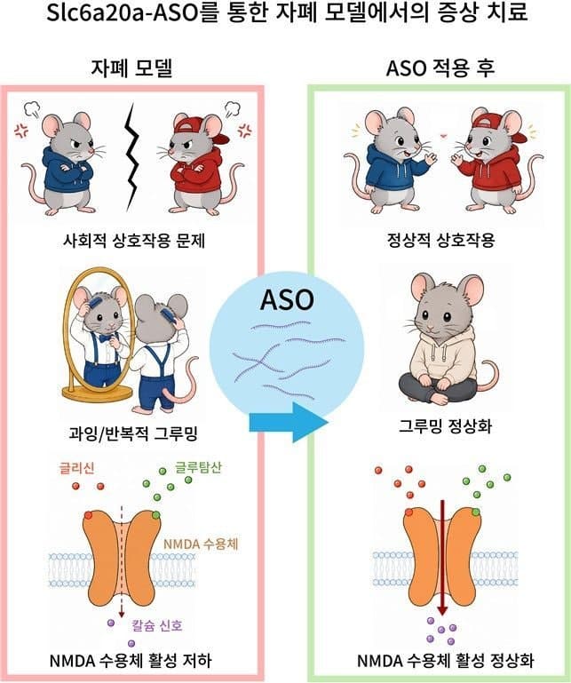 IBS, '글리신 조절'로 자폐증 핵심 증상 개선 및 치료 전략 제시