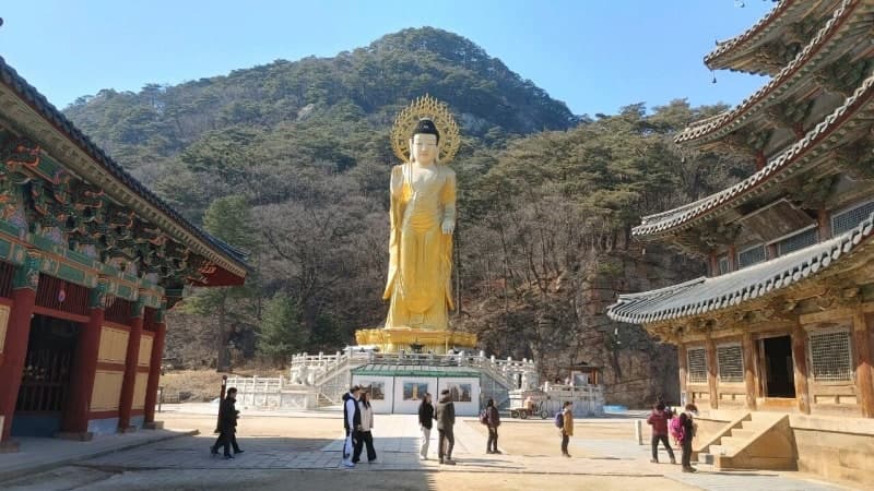 4년간 47회 마카오 원정 도박…법주사 전 주지, 징역형에 집행유예 2년
