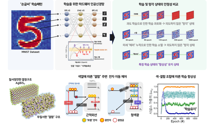 AI도 필요한 것만 기억한다…빛 색깔로 학습·망각 제어하는 뇌 모방 광시냅스 개발