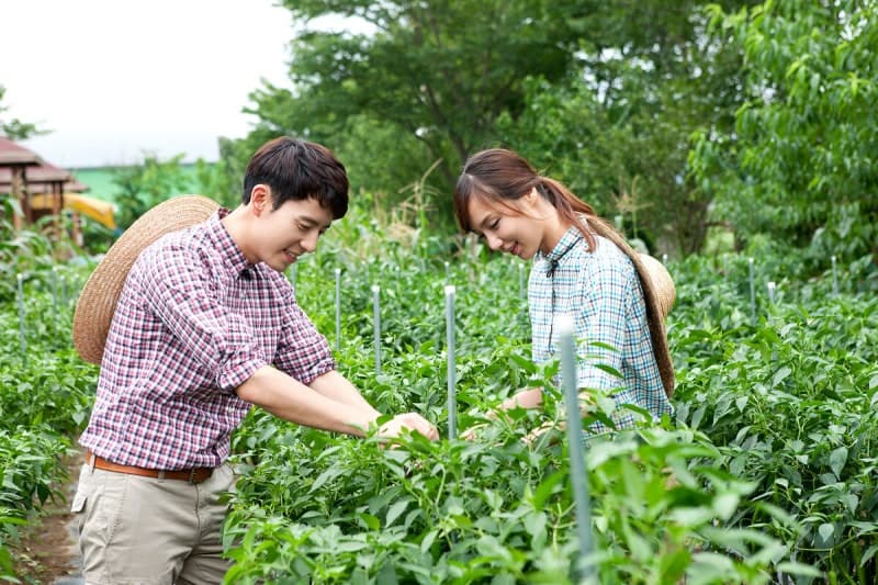 "혼인신고 미루지 마세요"…결혼해도 손해 없게 '900만원' 벌어도 당첨된다