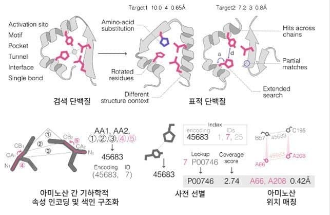 수억개 단백질 구조 초고속 탐색하는 검색 도구 '폴드디스코' 개발…'기능 지문' 몇 초 만에 찾는다