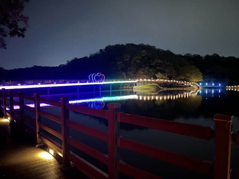 파주시 공릉호수, 2.2km '빛의 산책로' 완공…수도권 야간명소로 재탄생
