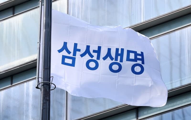 삼성생명 주가 134% 급등, "더 간다" vs "과열"…NAV 할인율 축소 근거 부족 지적