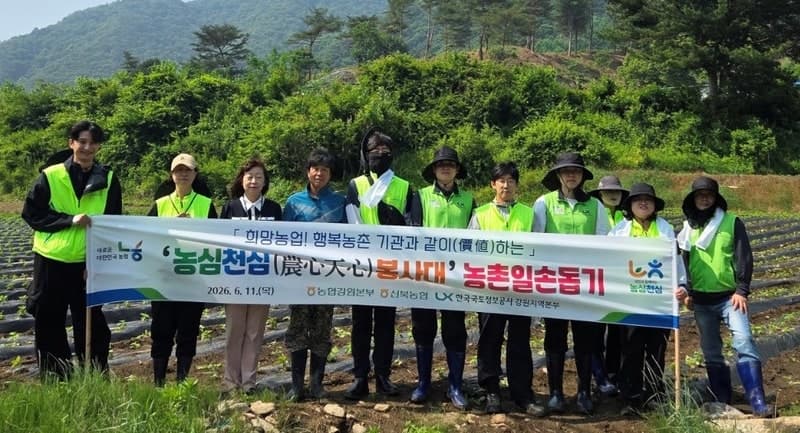 농협·LX 강원본부·신북농협, 춘천서 '고령화·인구감소로 어려운 농가 돕는다' 합동 일손돕기 구슬땀