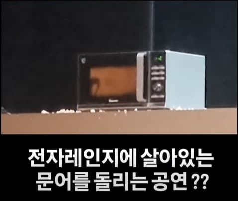 “살아있는 문어 밟고 전자레인지에”…국제무용제 ‘동물학대’ 논란에 결국 사과