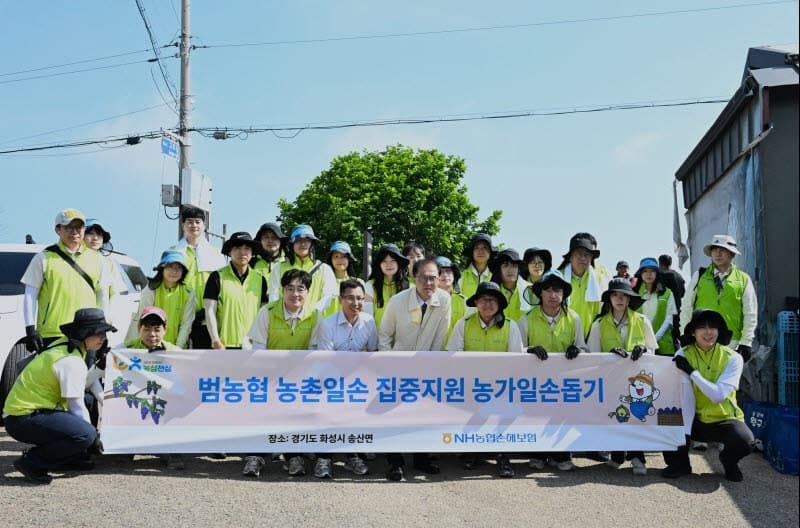 NH농협손보 송춘수 대표, 화성 포도 농가서 '일손돕기' 실시