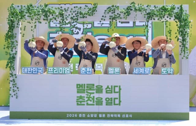 춘천시, '소양강 멜론' 프리미엄 과일시장 공략…'하니원' 기반 브랜드 육성 본격화