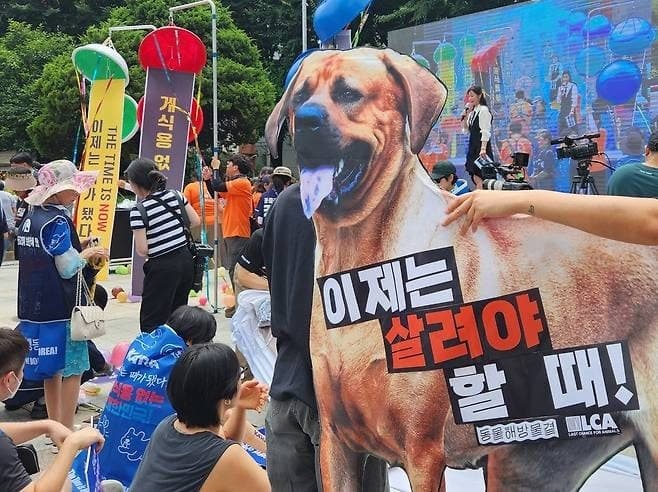 내년부터 개고기 판매·식용 전면 금지…청주 사육 농가 80% 자진 폐업