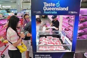 "퀸즐랜드 와규 맛본다"…롯데마트, 호주산 소고기 최대 40% 할인 행사