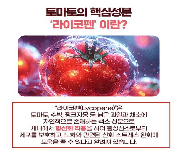 "영양제·면역력 강화" 내세운 식품 온라인 부당광고 225건 무더기 적발
