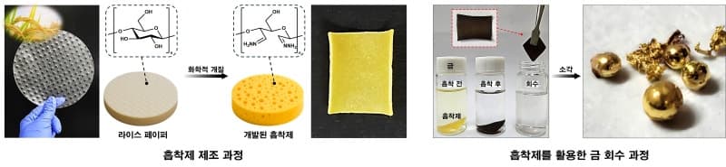 “월남쌈으로 황금 캔다”…라이스 페이퍼로 폐수 속 금 회수하는 흡착제 개발