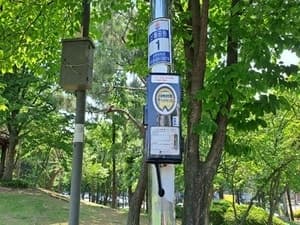 양천구, '스마트 안심 공원등' 확대…"원격제어로 더 안전하게"
