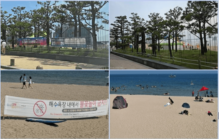 부산시, 양정교차로 등 13곳 추가 지정해 '현수막 없는 청정거리' 31곳으로 확대