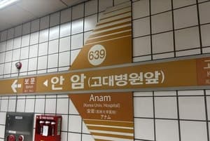 6호선 안암역 소방점검 중 이산화탄소 방출…"인명 피해 없어"