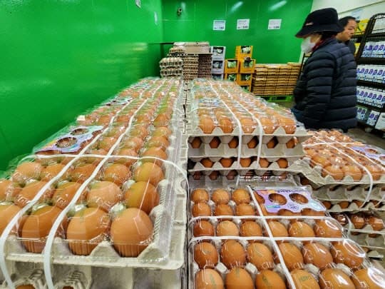 계란값 고공행진에 대형마트, 5년 만에 미국산 계란 판매…"30구에 5900원대"