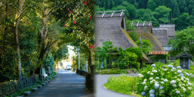 "마을이 먼저" 제주 동백마을·일본 미야마, UN 관광청 최우수관광마을 간 첫 '농촌관광모델' 실험